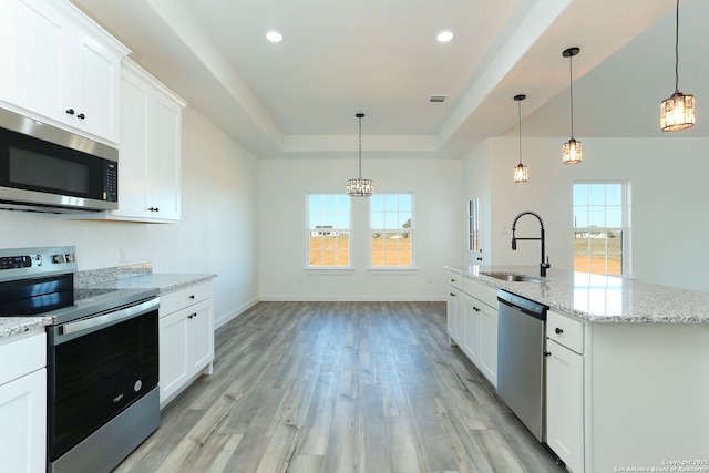 kitchen with sink, stainless steel appliances, a raised ceiling, and white cabinets