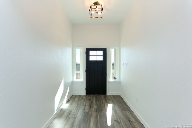 doorway to outside with wood-type flooring