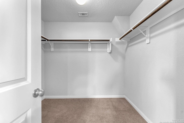 walk in closet with carpet floors