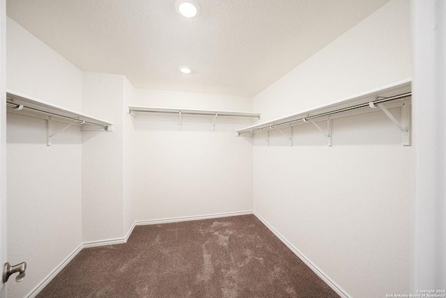 walk in closet with dark carpet