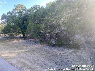 750 Misty Ln, Spring Branch TX, 78070 land for sale