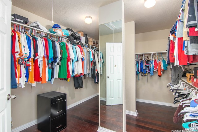 spacious closet featuring dark hardwood / wood-style flooring