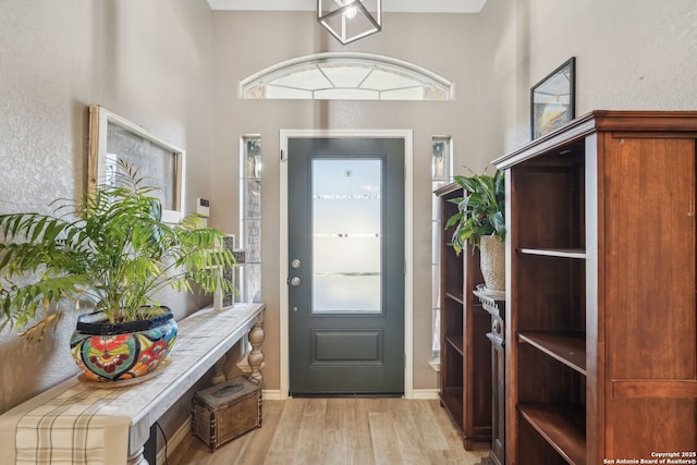 entryway with plenty of natural light and light hardwood / wood-style floors