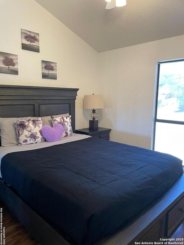 bedroom with lofted ceiling and ceiling fan