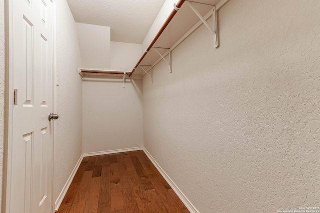 spacious closet with hardwood / wood-style floors