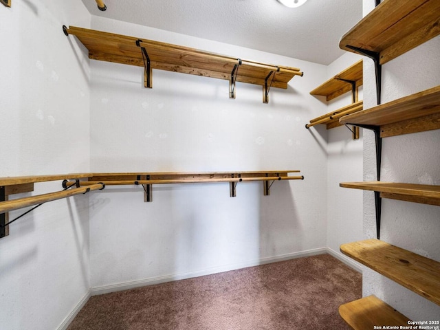 spacious closet with carpet