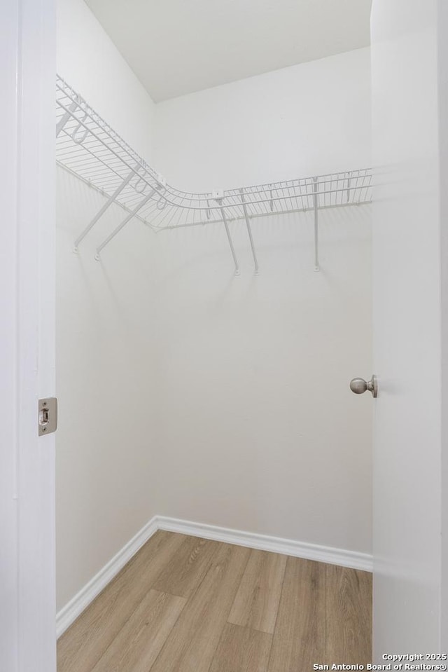 walk in closet with hardwood / wood-style flooring