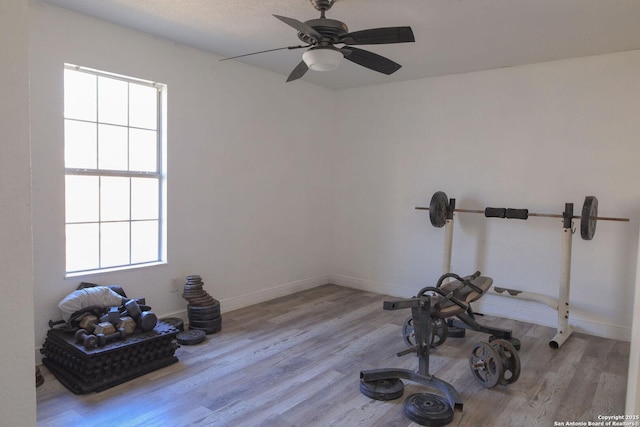 workout room with light hardwood / wood-style flooring