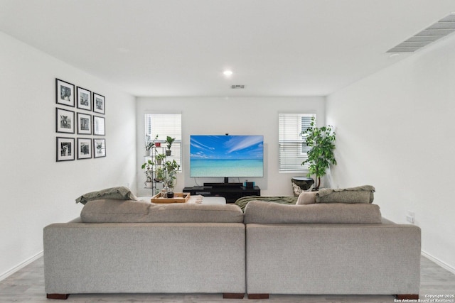 living room with wood-type flooring