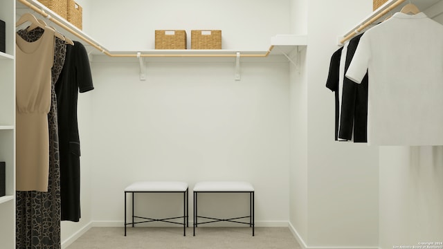 spacious closet with light colored carpet