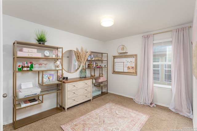 home office with carpet floors