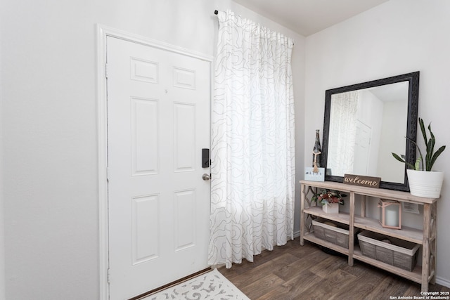 entryway featuring dark hardwood / wood-style flooring