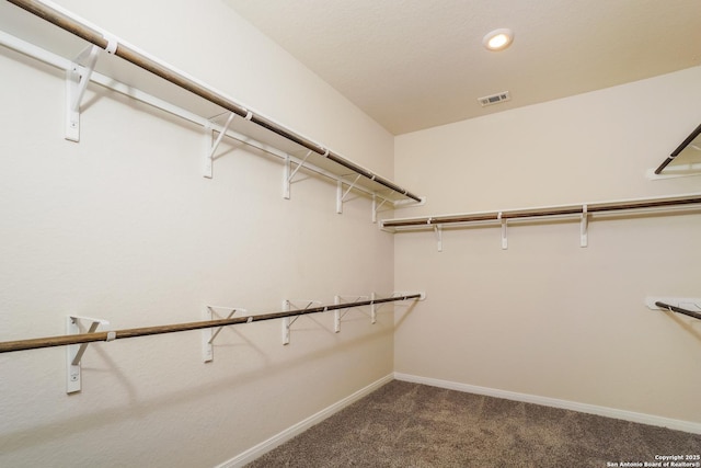 walk in closet featuring carpet flooring