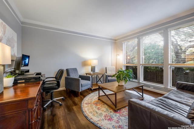 interior space with crown molding and dark hardwood / wood-style flooring