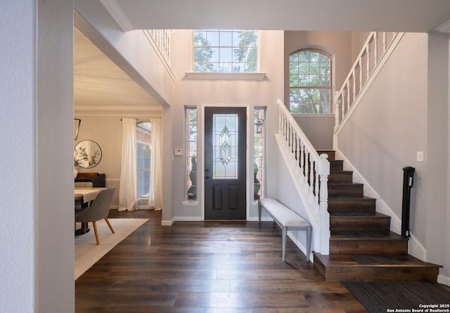 foyer with a towering ceiling, dark wood-type flooring, and ornamental molding