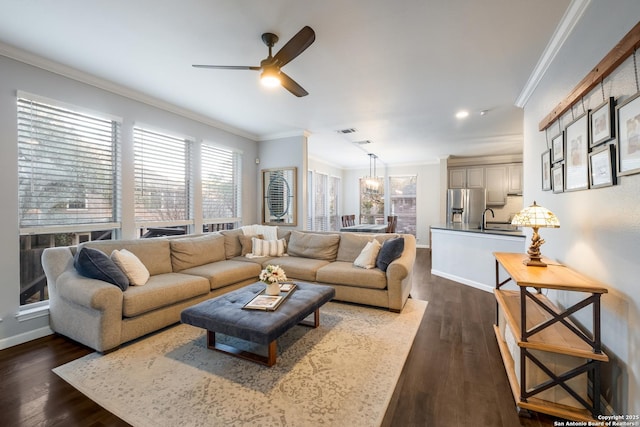 living room featuring crown molding, ceiling fan, dark hardwood / wood-style floors, and sink