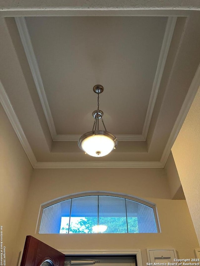 details featuring ornamental molding and a raised ceiling