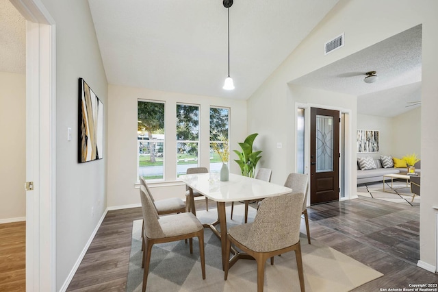 dining space featuring lofted ceiling, dark wood-type flooring, and a textured ceiling