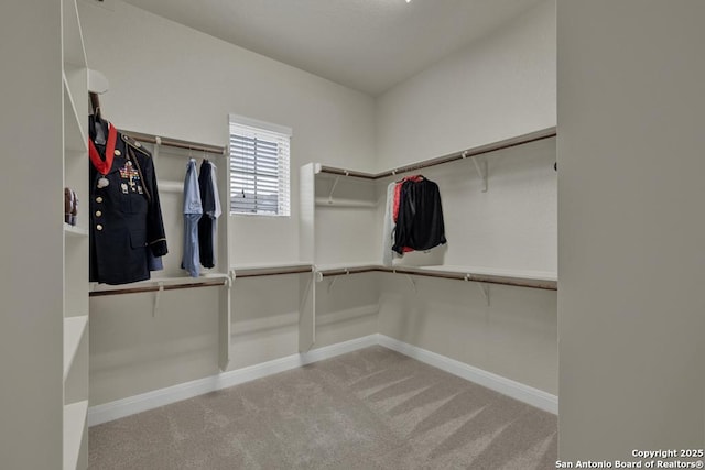 spacious closet with light carpet