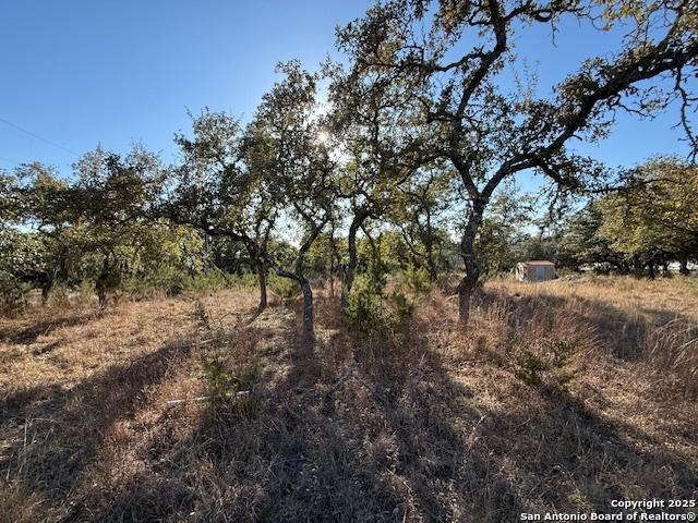 664 Ridgeway, Bulverde TX, 78163 land for sale