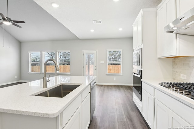 kitchen with an island with sink, ceiling fan, stainless steel appliances, extractor fan, and a sink