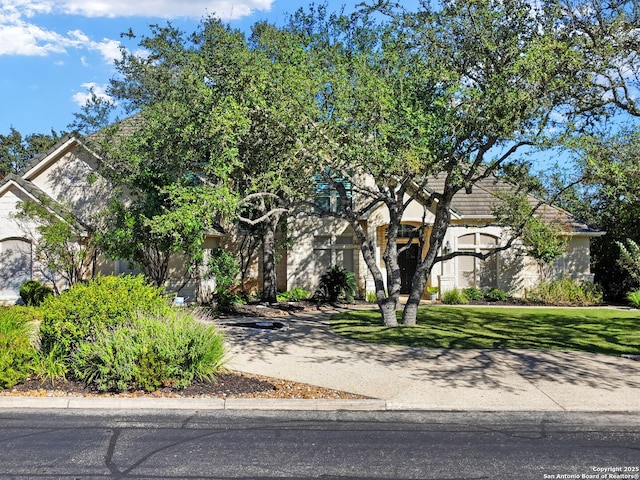 obstructed view of property with a front yard