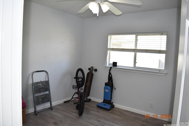 exercise area featuring ceiling fan and hardwood / wood-style floors