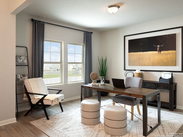 office space featuring hardwood / wood-style flooring