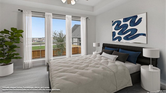 305 Hulda Trl, New Braunfels, TX 78130 - bedroom with carpet flooring and baseboards