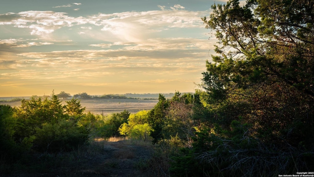 view of nature at dusk