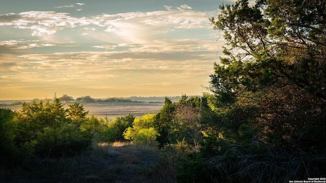 view of nature at dusk