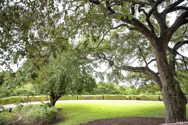 surrounding community with a lawn