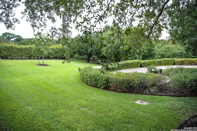 view of home's community featuring a lawn