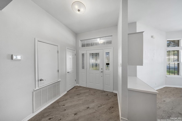 foyer featuring wood-type flooring