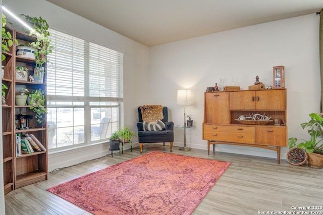 sitting room featuring light hardwood / wood-style flooring