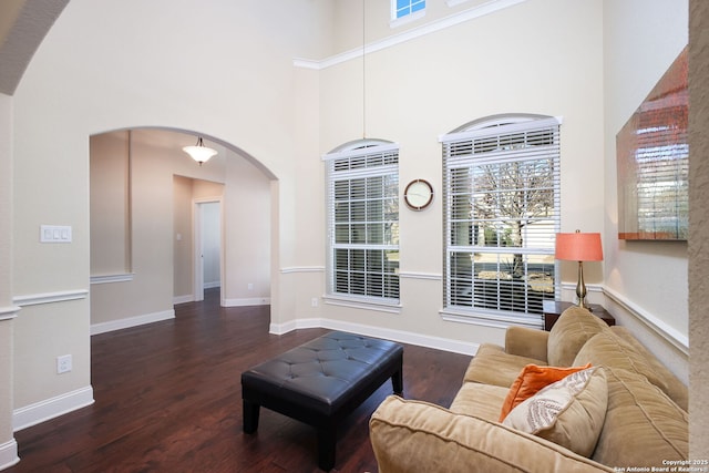 living room with a towering ceiling and dark hardwood / wood-style floors