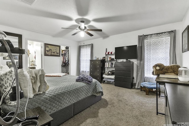 bedroom featuring a walk in closet, a closet, ceiling fan, and carpet