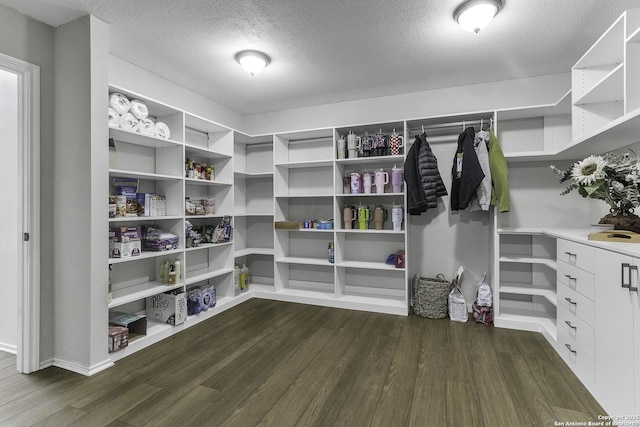 spacious closet with dark wood-type flooring