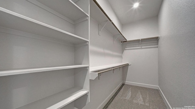 109 Barton Crk, Boerne, TX 78006 - walk in closet featuring carpet