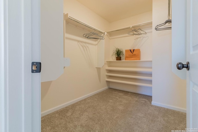 walk in closet featuring carpet