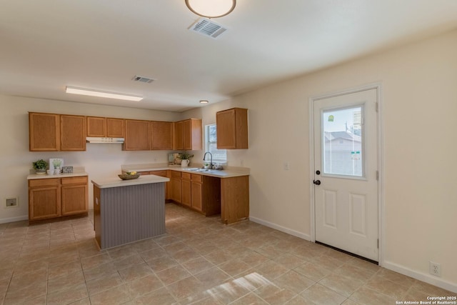 kitchen with sink and a kitchen island