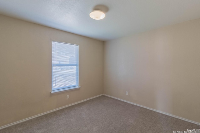 spare room featuring carpet flooring