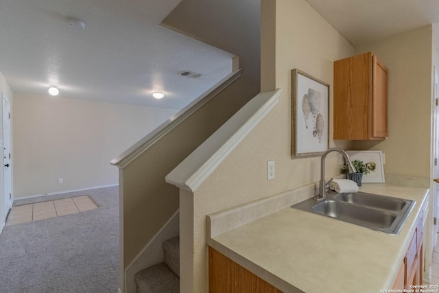 kitchen featuring sink and light colored carpet