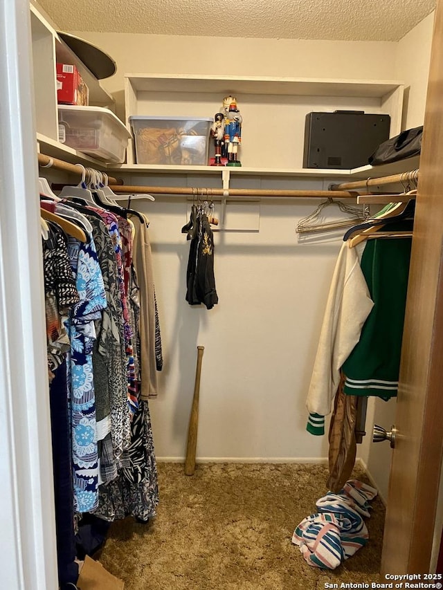 spacious closet featuring carpet floors