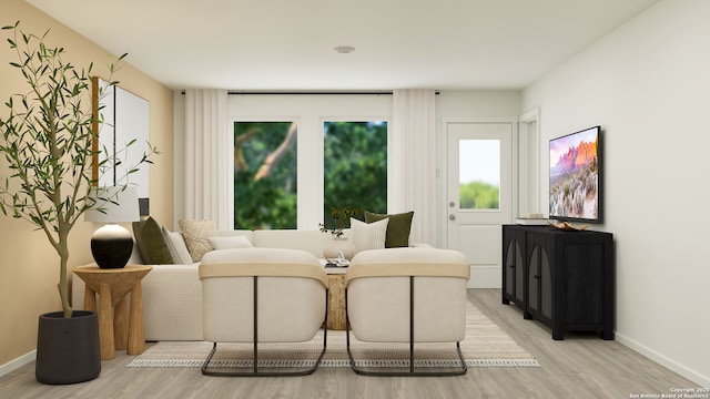 living room with light wood-type flooring