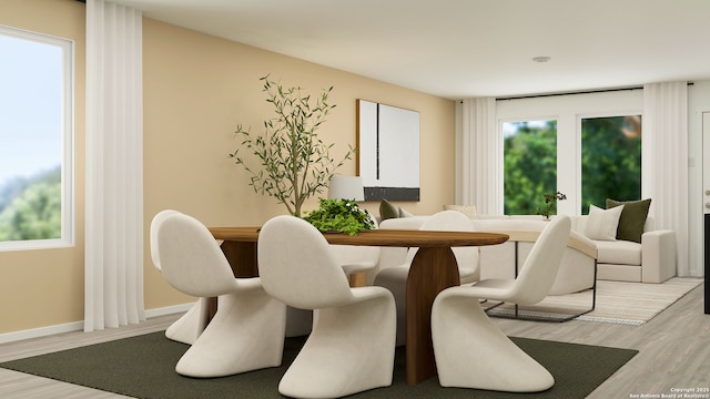 dining area with light hardwood / wood-style flooring