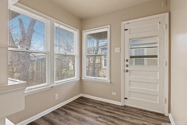 entryway featuring dark hardwood / wood-style flooring