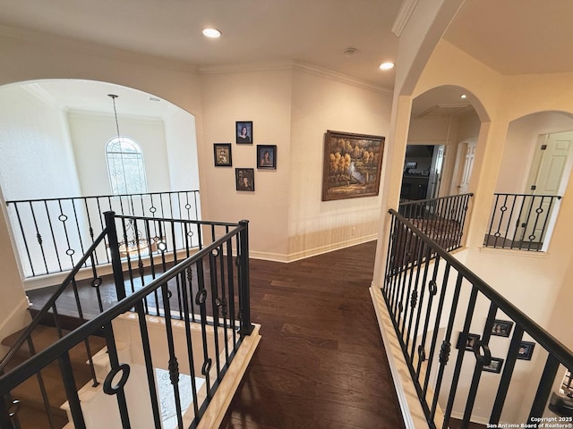 corridor with ornamental molding, a chandelier, and dark hardwood / wood-style flooring