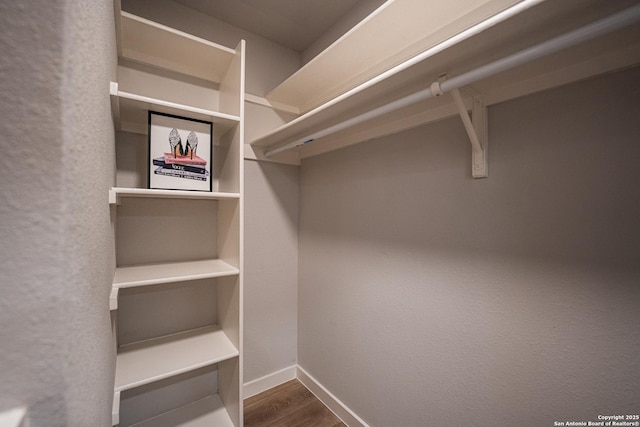 spacious closet with hardwood / wood-style flooring