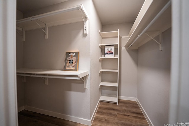 walk in closet featuring dark hardwood / wood-style floors